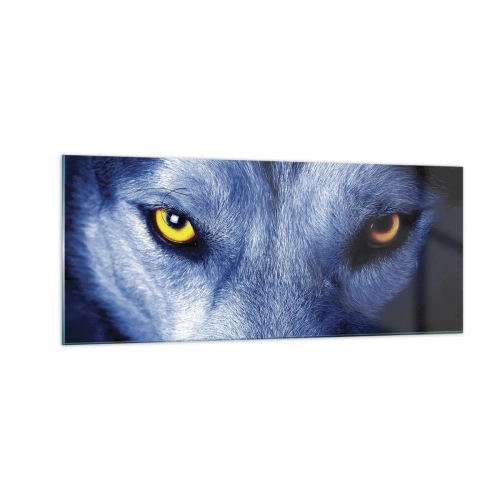 Obraz na skle - Fascinující pohled - 100x40 cm