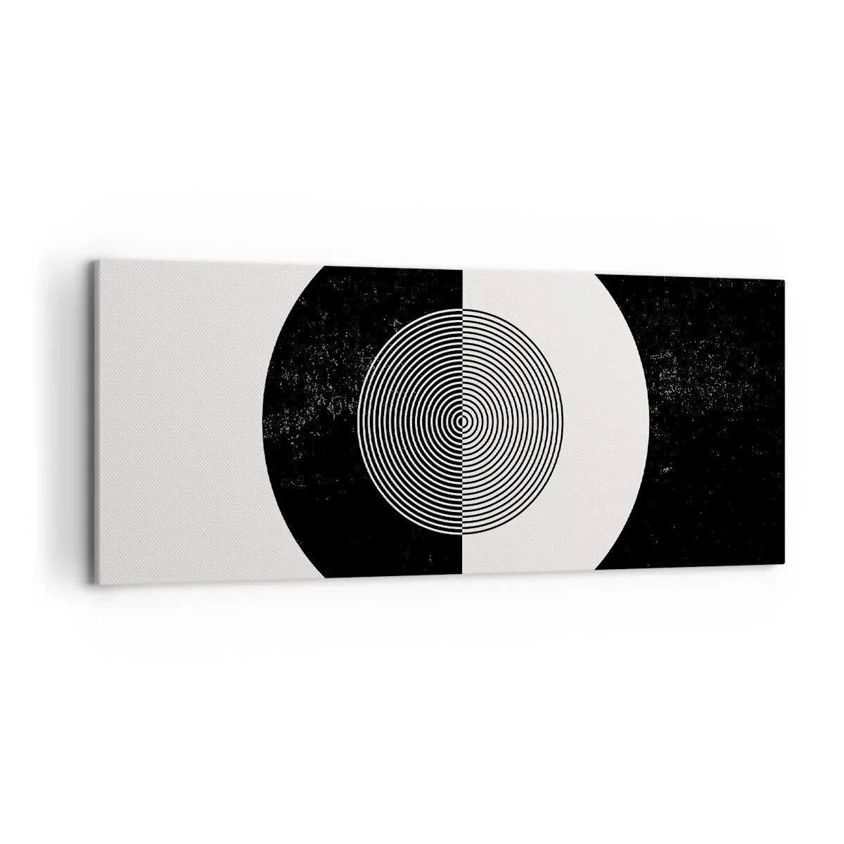 Obraz na plátně - Harmonie v černé a bílé - 120x50 cm