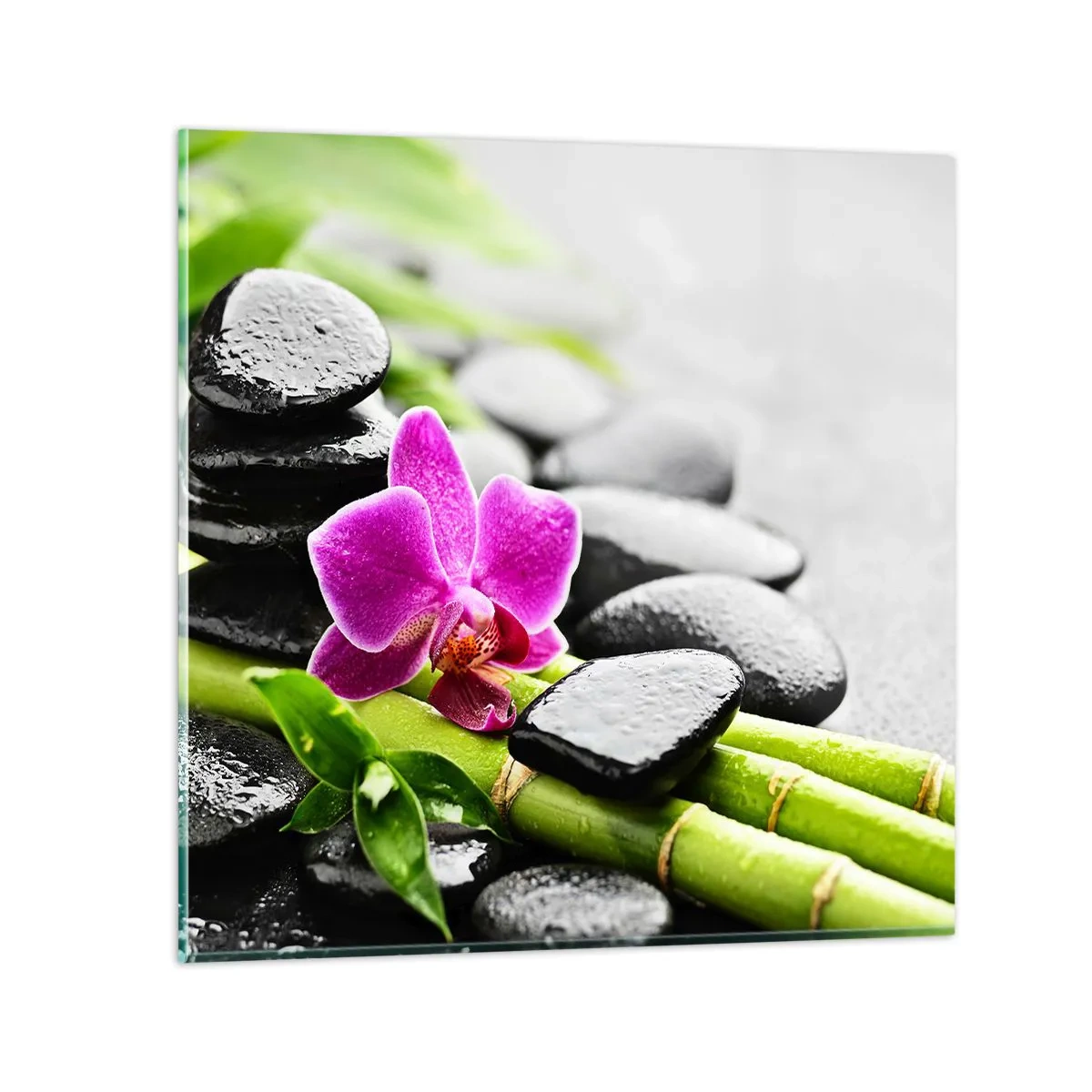 Obraz na skle - V klidné rovnováze - 60x60 cm