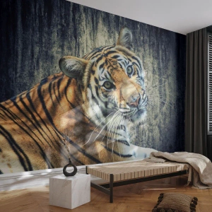 Fototapeta Premium Sand - Portrét v pramenech světla - Zvířata, Tygr, Afrika - 100x70 cm