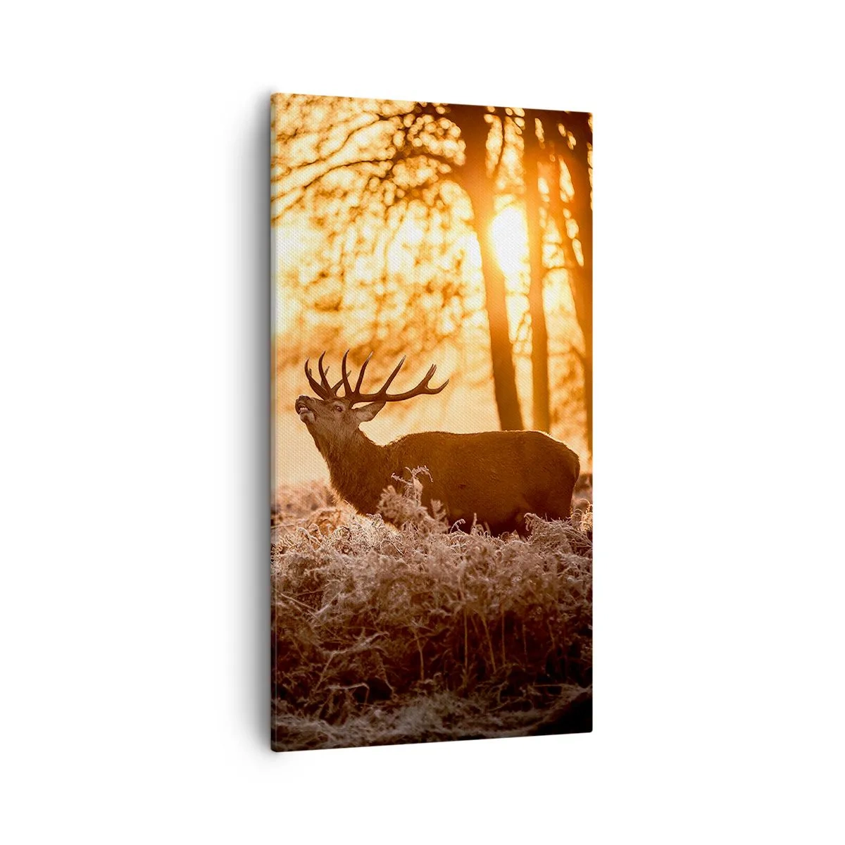 Obraz na plátně - Sen myslivce - 55x100 cm
