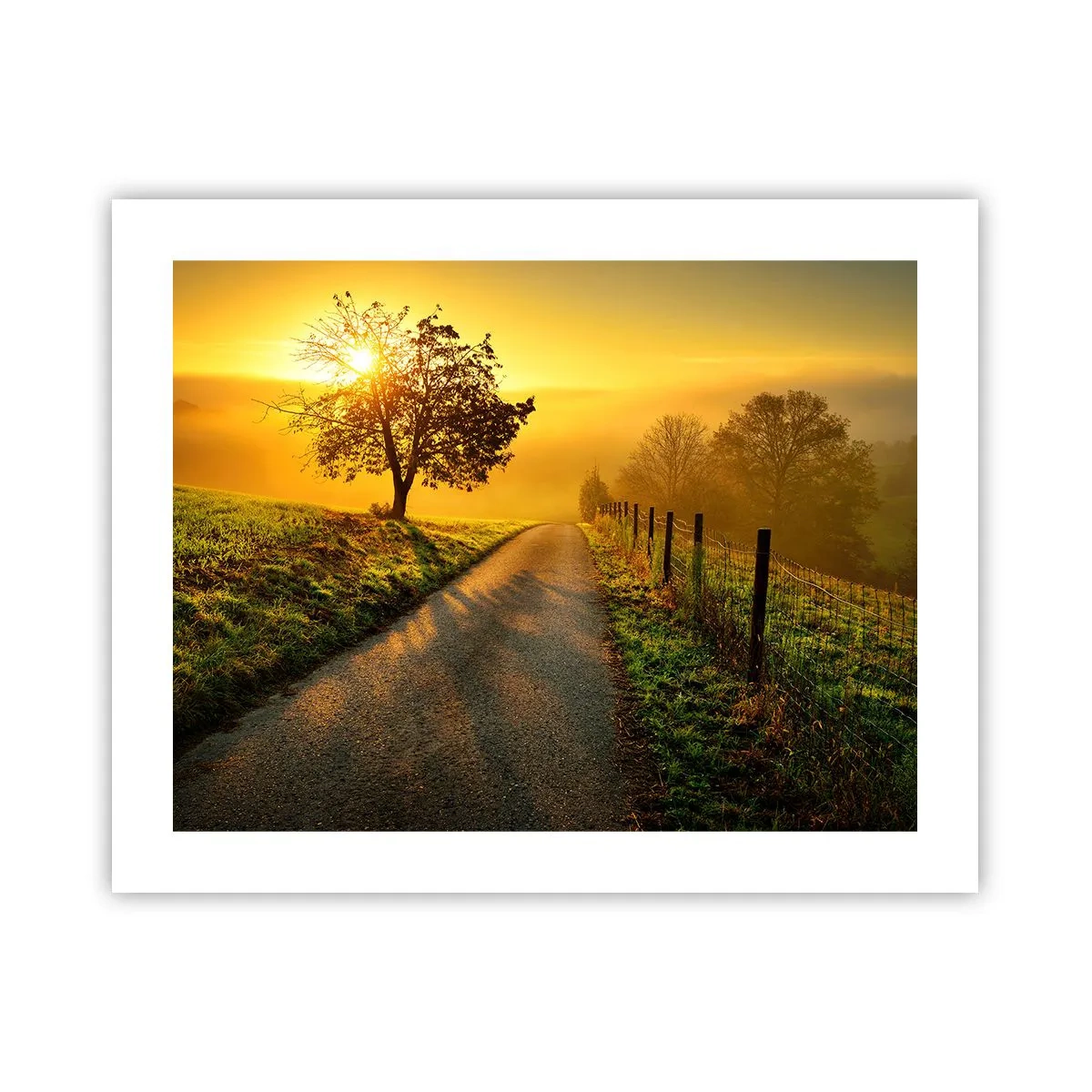 Plakát - Medové odpoledne - 50x40 cm