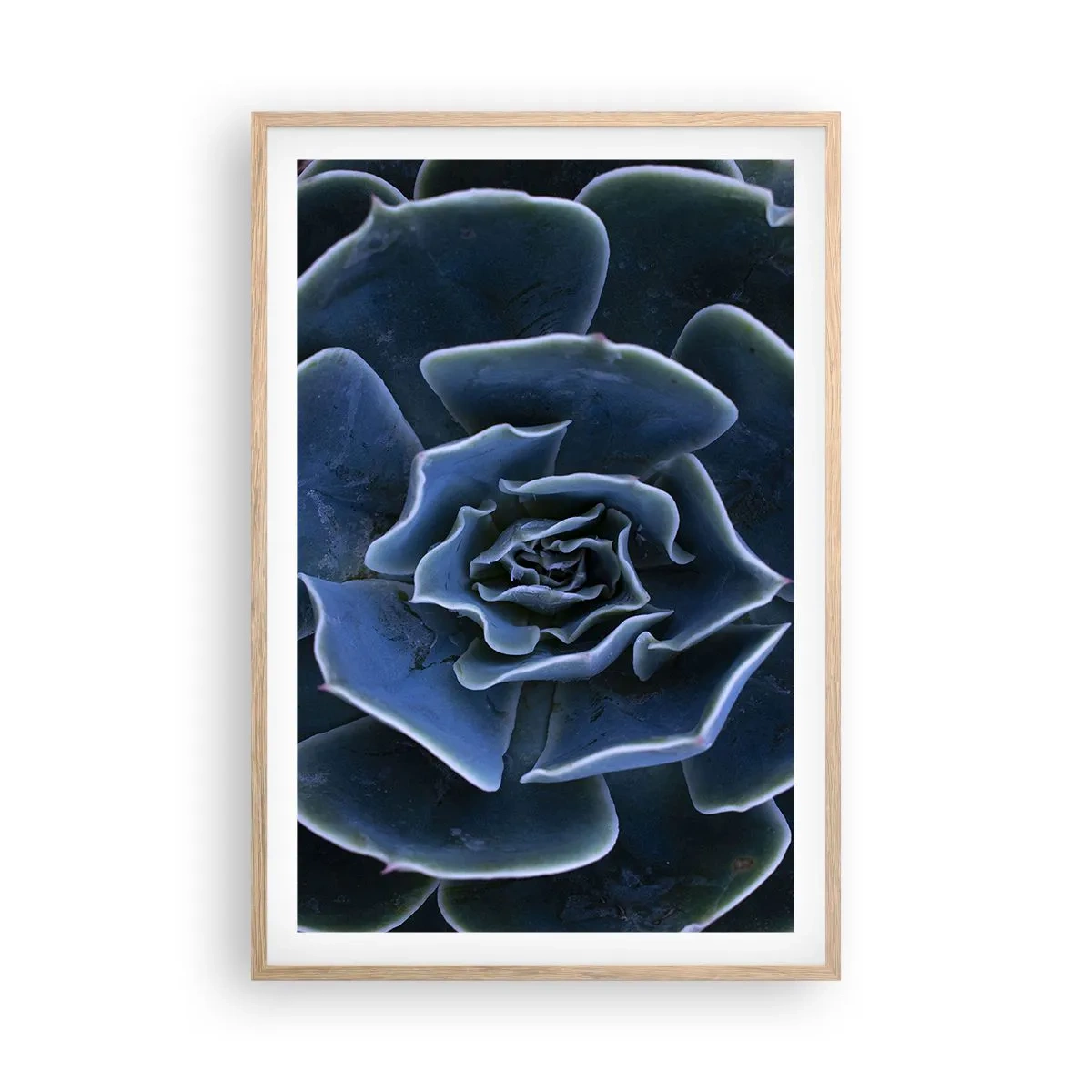 Plakát v rámu světlý dub - Pouštní květ - 61x91 cm