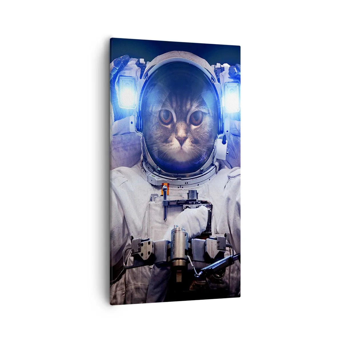 Obraz na plátně - Houston, máte problém - 55x100 cm