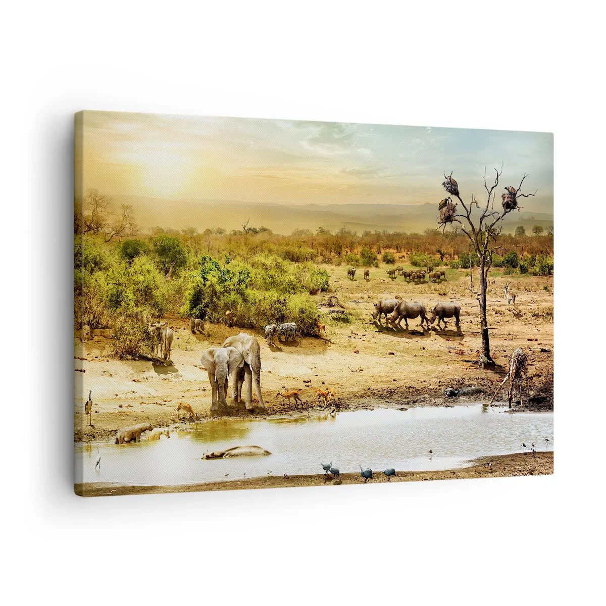 Obraz na plátně - Sloni a divoká zvířata u napajedla při západu slunce - 70x50cm - „Z ráje opět pramenila řeka…“ - Moderní nástěnná dekorace do obývacího pokoje a ložnice ARTTOR