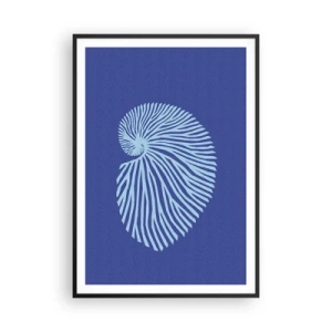 Plakát v černém rámu - Zrození mušle - 70x100 cm