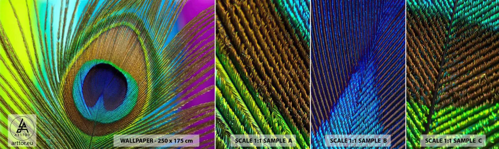 Vzor Fototapety Samolepicí Deluxe Sticker - Tváří v tvář - Abstrakce, Paví peří, Kus - 100x30 cm