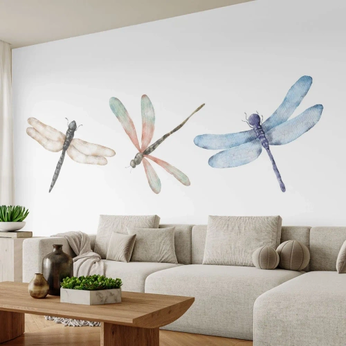 Fototapeta Standard Eco - Beztížné vážky - Hmyz, Minimalistický, Závažný - 150x105 cm