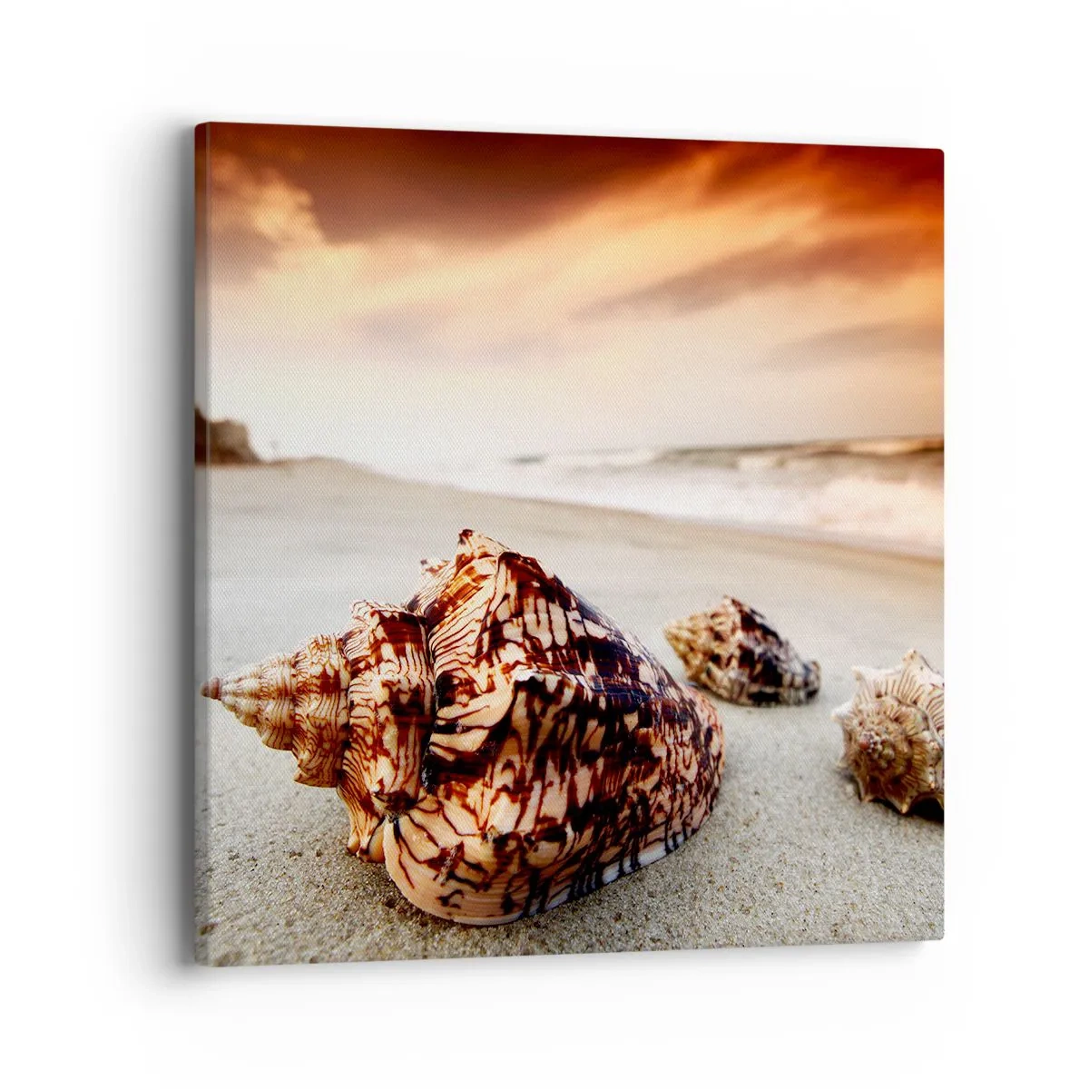 Obraz na plátně - Vyvrženci vln - 40x40 cm