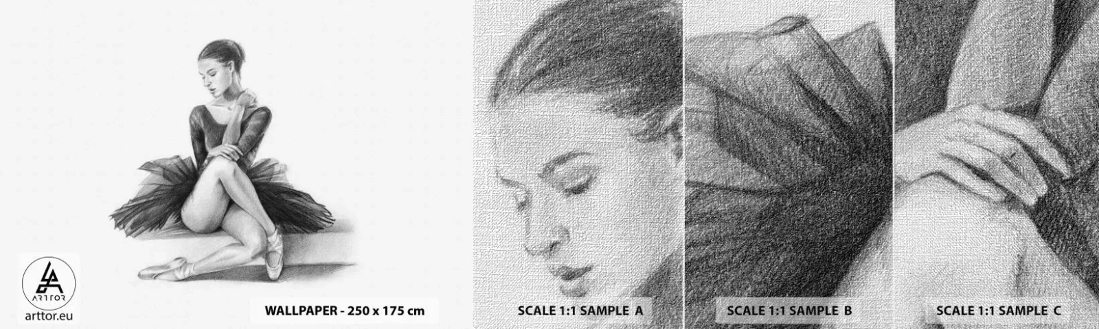 Vzor Fototapety Premium Canvas - Okouzlená tancem - Balerína, Tanec, Balet - 100x30 cm