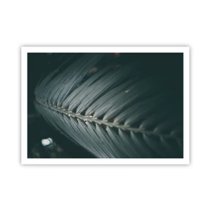 Plakát - Přesnost přírody - 100x70 cm