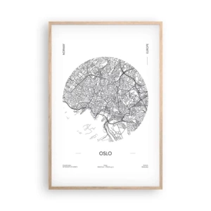 Plakát v rámu světlý dub - Anatomie Osla - 61x91 cm
