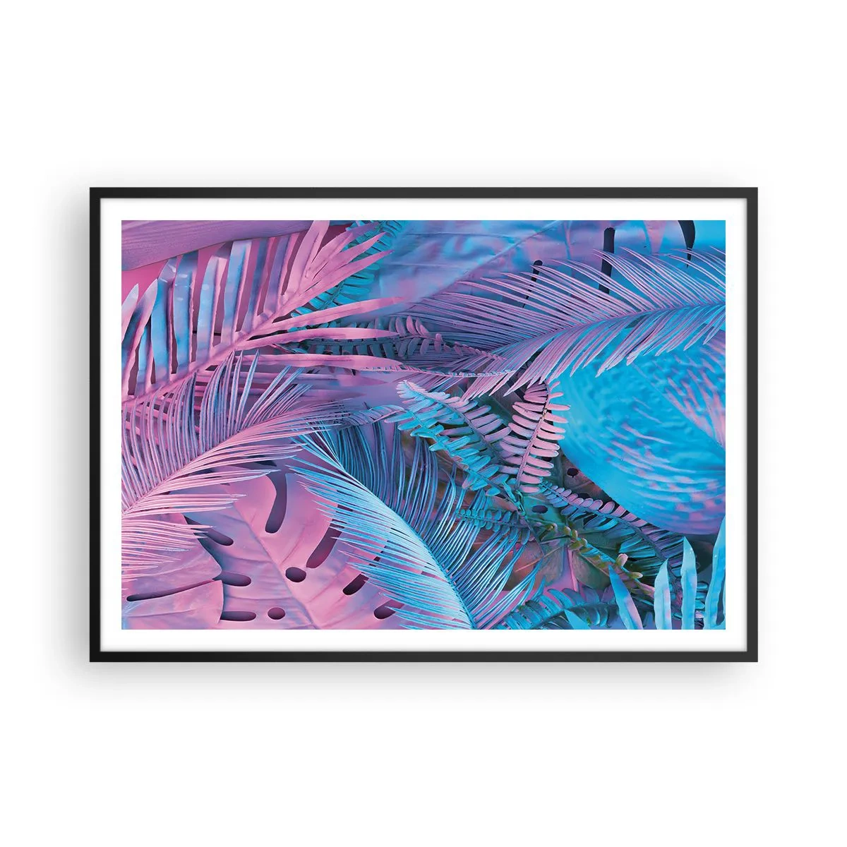 Plakát v černém rámu - Tropy v růžové a modré - 100x70 cm