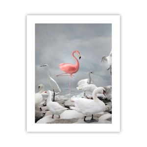 Plakát - Kde jsem se tu vzal? - 40x50 cm