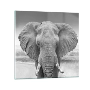 Obraz na skle - Vítejte v mém světě - 70x70 cm