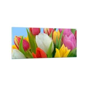 Obraz na skle - Květinová duha v kapkách rosy - 120x50 cm