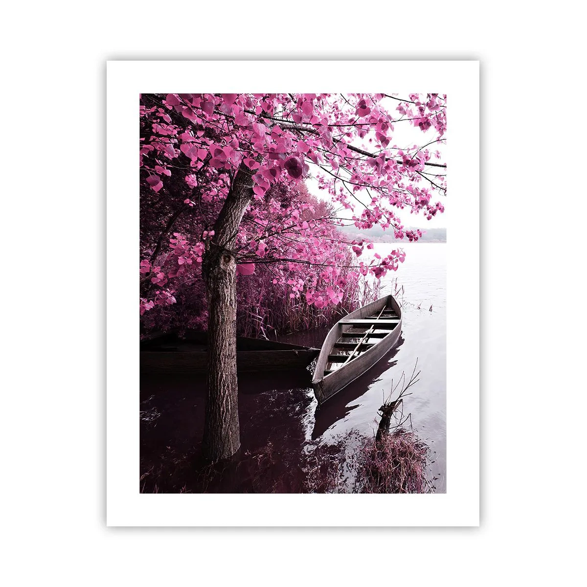 Plakát - V růžovém tichu - 40x50 cm