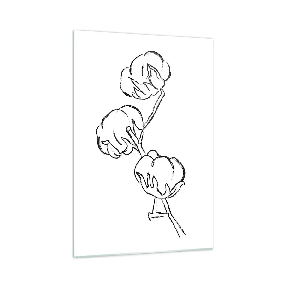 Obraz na skle - Bavlněné chmýří - 70x100 cm