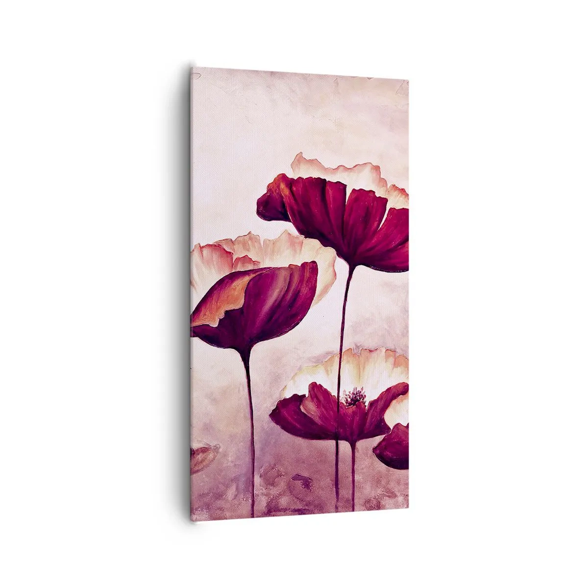 Obraz na plátně - Červený a bílý plátek - 65x120 cm