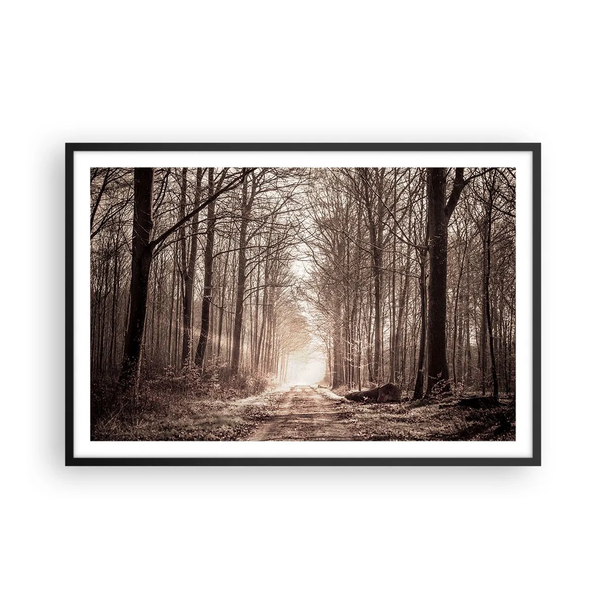 Plakát v černém rámu - Lesní katedrála - 91x61 cm