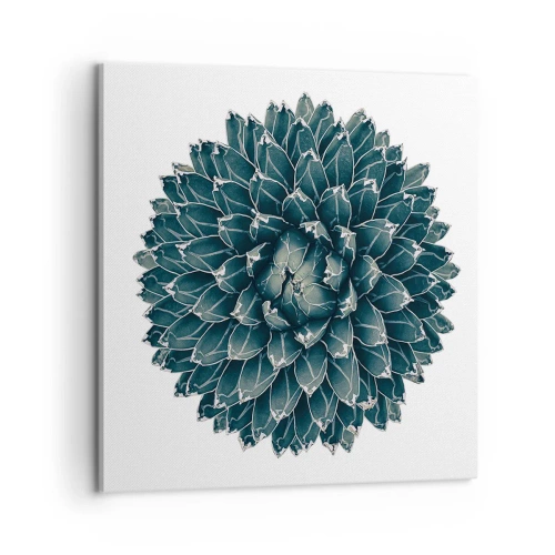 Obraz na plátně - Hvězda pouště - 60x60 cm