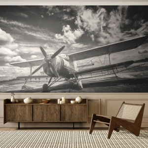 Fototapeta Premium Sand - Nemohu se toho dočkat! - Letadlo, Letadlo, Černý a bílý - 400x280 cm