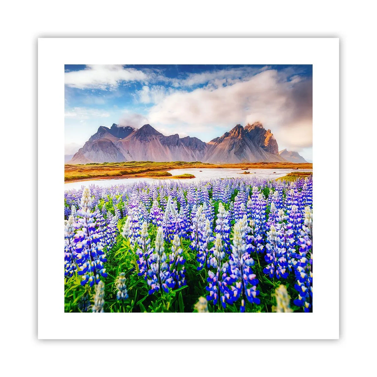 Plakát - Síla a přísnost vedle mírnosti - 40x40 cm