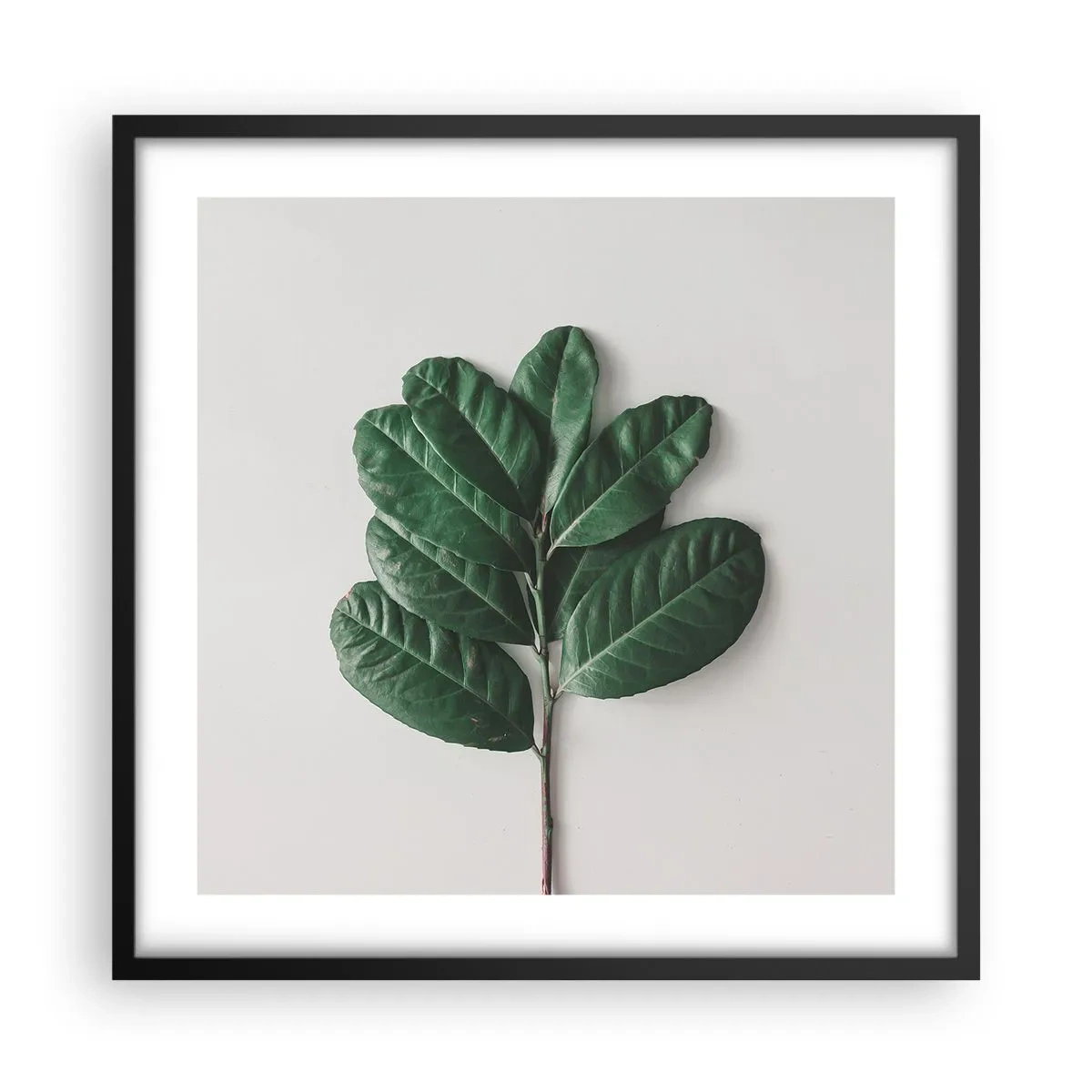 Plakát v černém rámu - Kresba samotné přírody - 50x50 cm