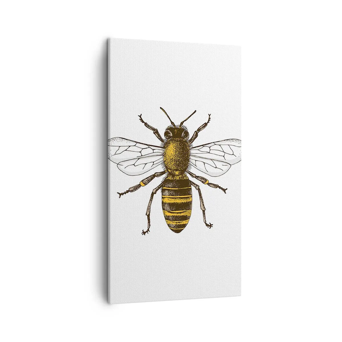 Obraz na plátně - Krásná a dobrá - 45x80 cm