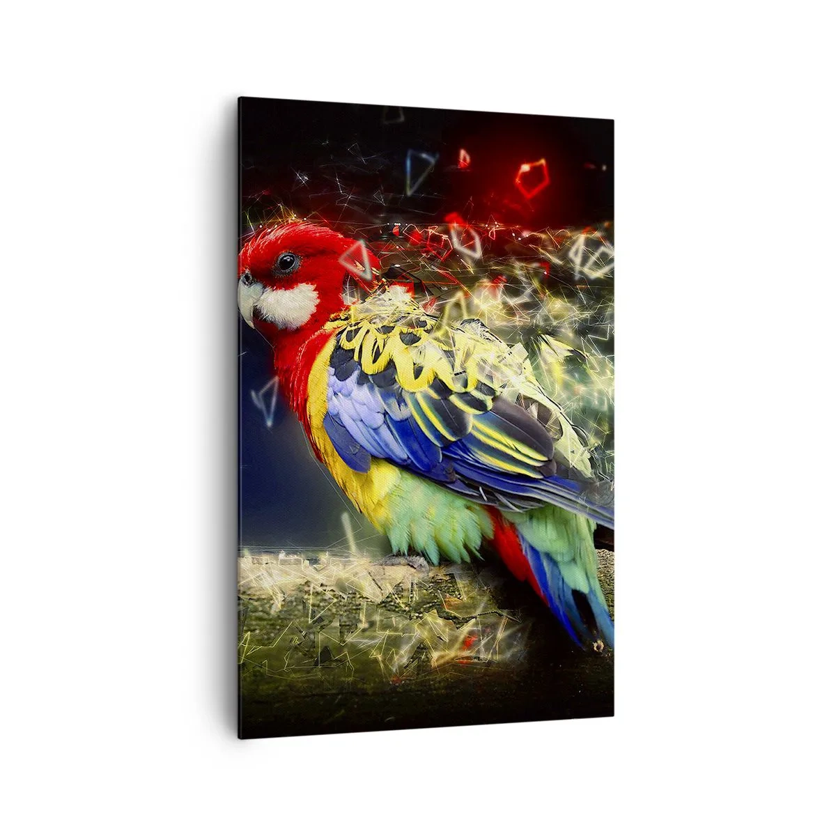 Obraz na plátně - Posel záře - 80x120 cm