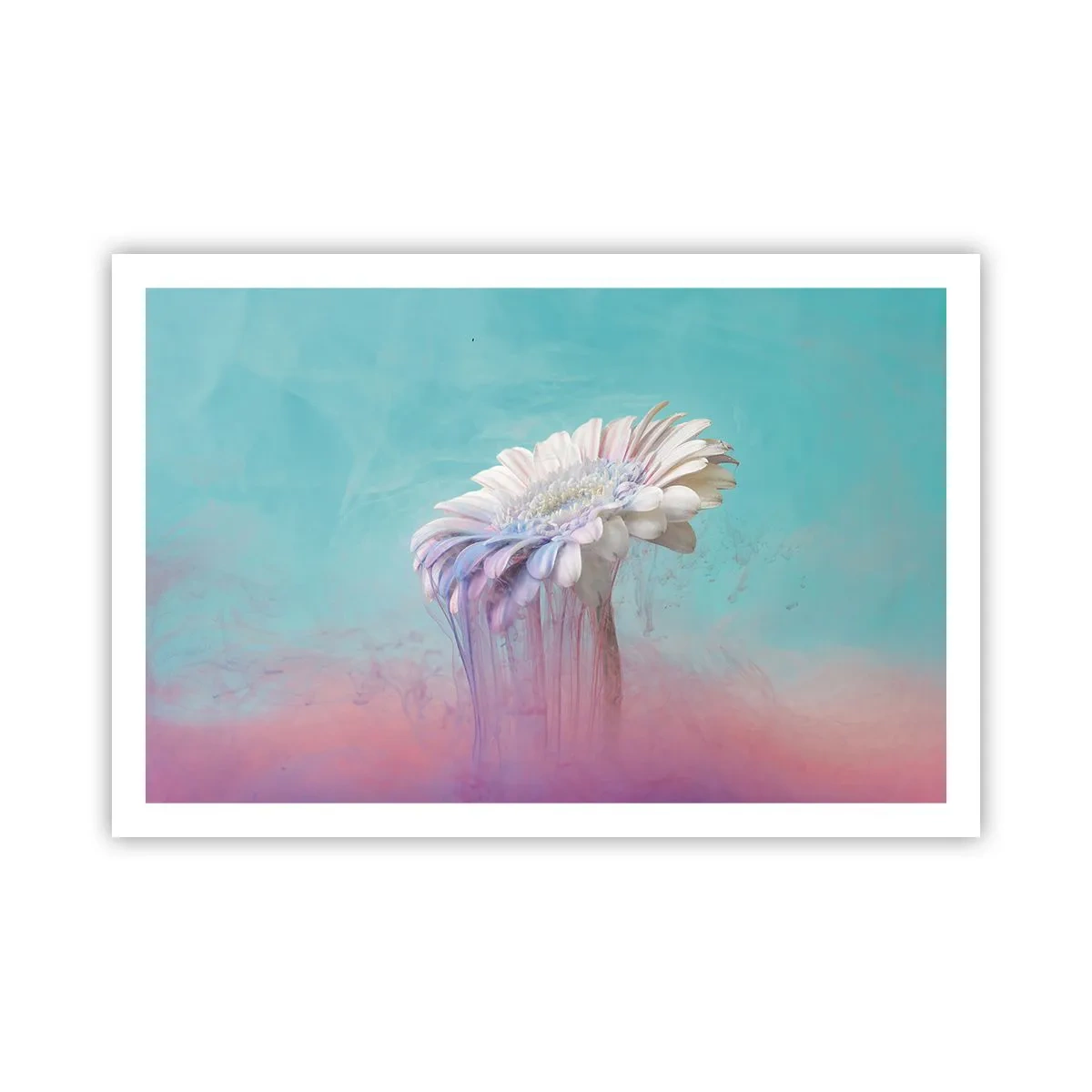 Plakát - Záhrobí květin - 91x61 cm