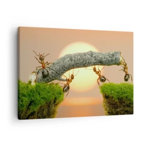 Obraz na plátně - Mravenci staví most z větví na pozadí zapadajícího slunce. - 70x50cm - Radostná, společná práce - Moderní nástěnná dekorace do obývacího pokoje a ložnice ARTTOR