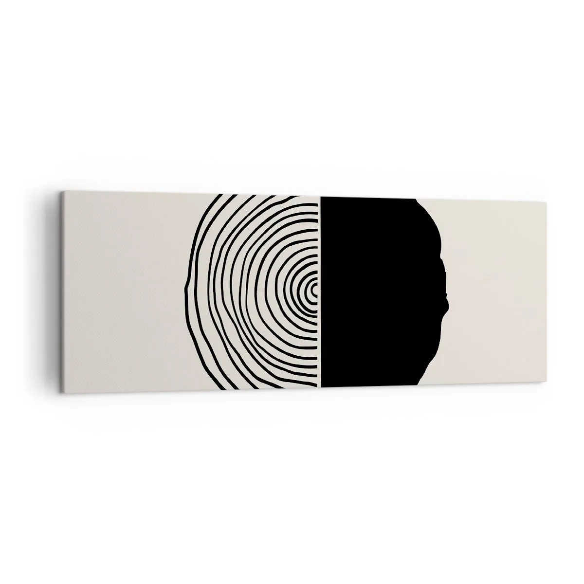 Obraz na plátně - Půl na půl - 140x50 cm