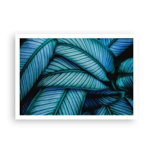 Plakát - Čáry života - 100x70 cm