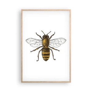 Plakát v rámu světlý dub - Krásná a dobrá - 61x91 cm