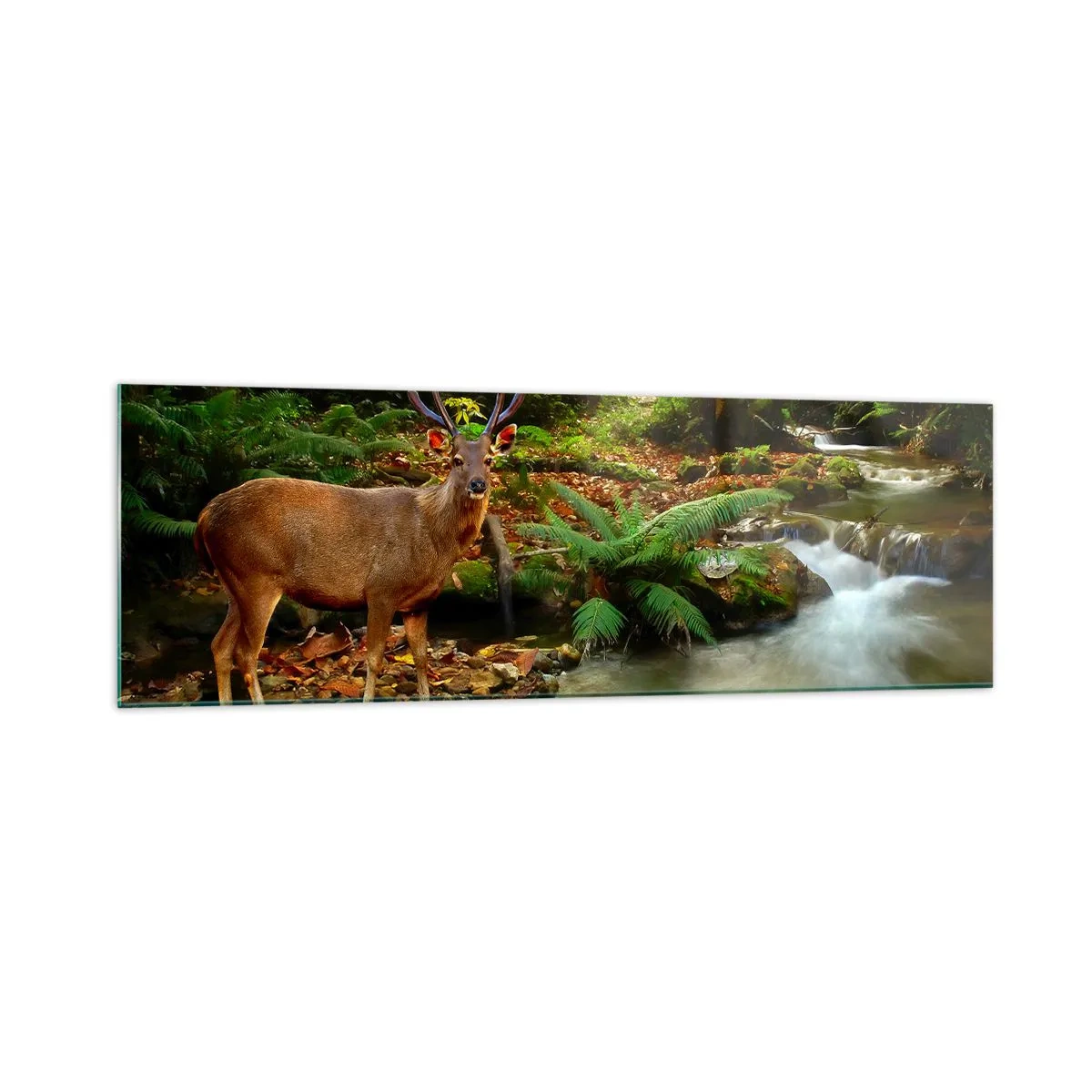 Obraz na skle - Vítám v mém světě - 160x50 cm