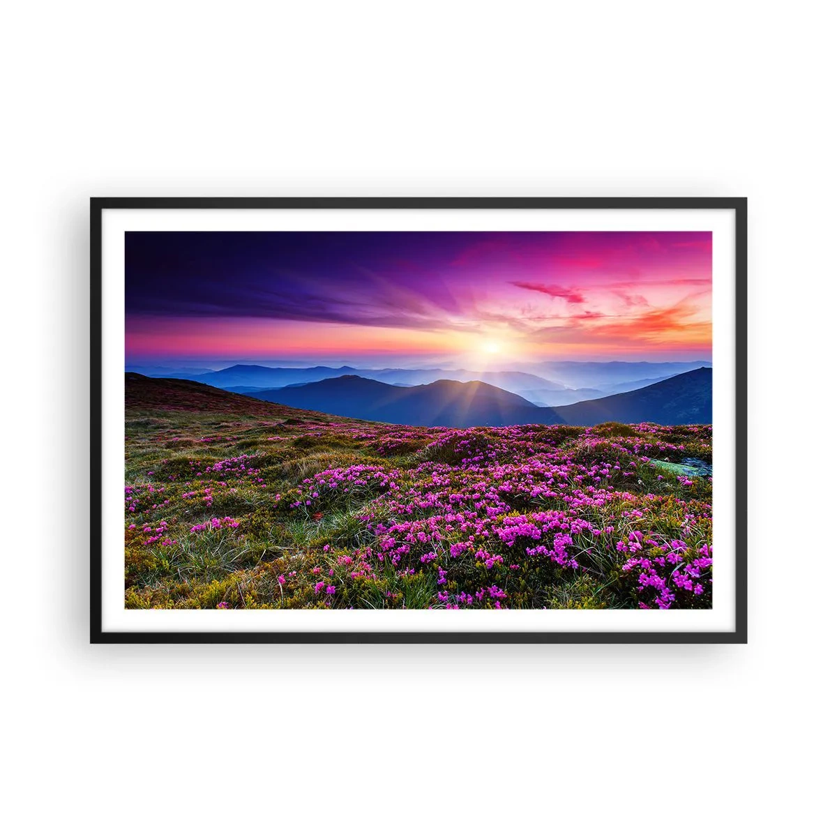 Plakát v černém rámu - Zavoněly svěží pupeny bylinek z obilných polí - 91x61 cm