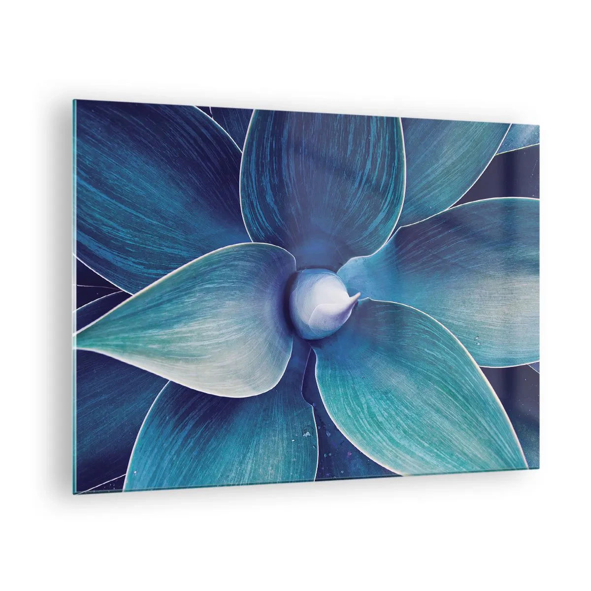 Obraz na skle - Makrofotografie rostliny v odstínech modré - 70x50cm - Namodralý od nebe - Moderní nástěnná dekorace do obývacího pokoje a ložnice ARTTOR