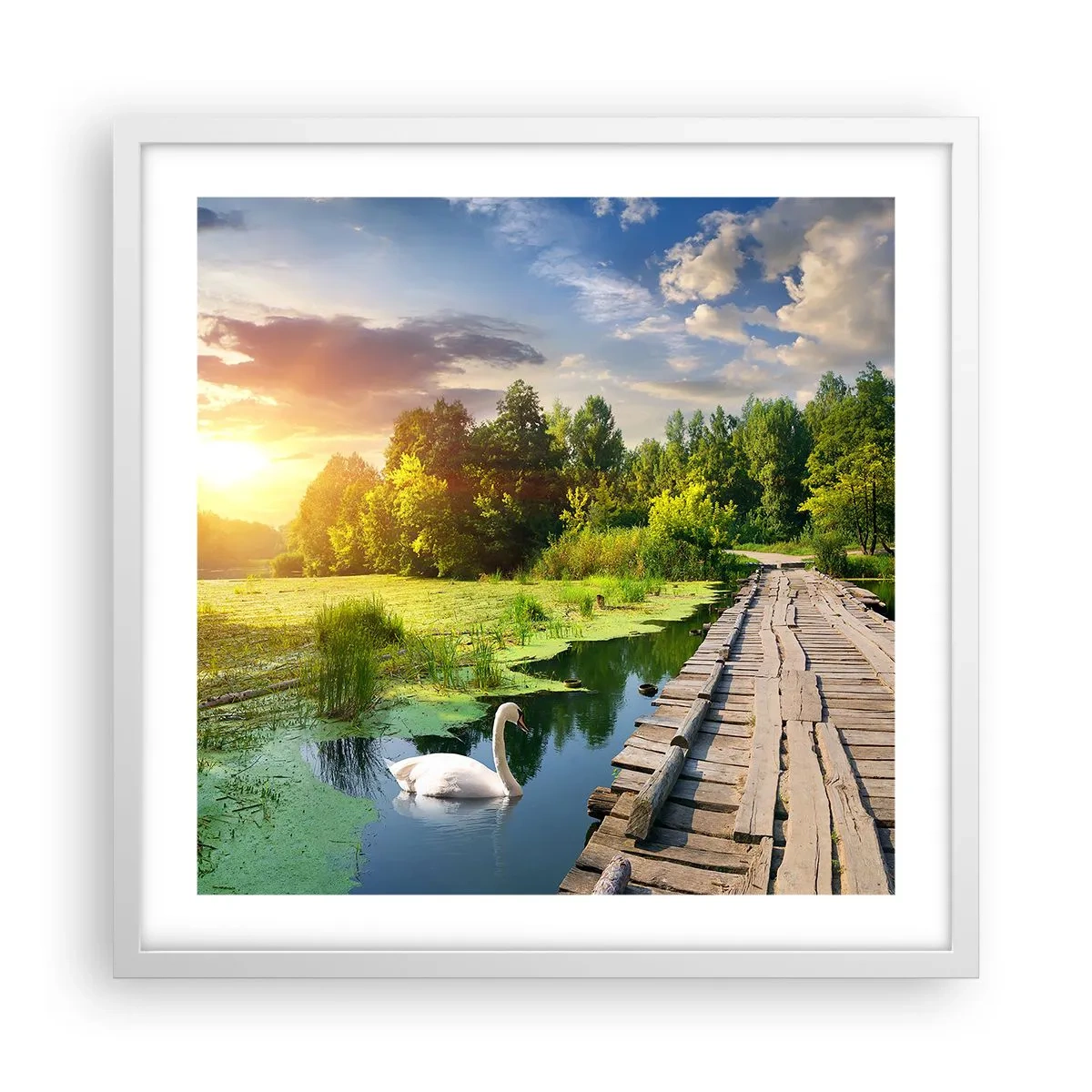 Plakát v bílém rámu - Léto, léto všude - 50x50 cm