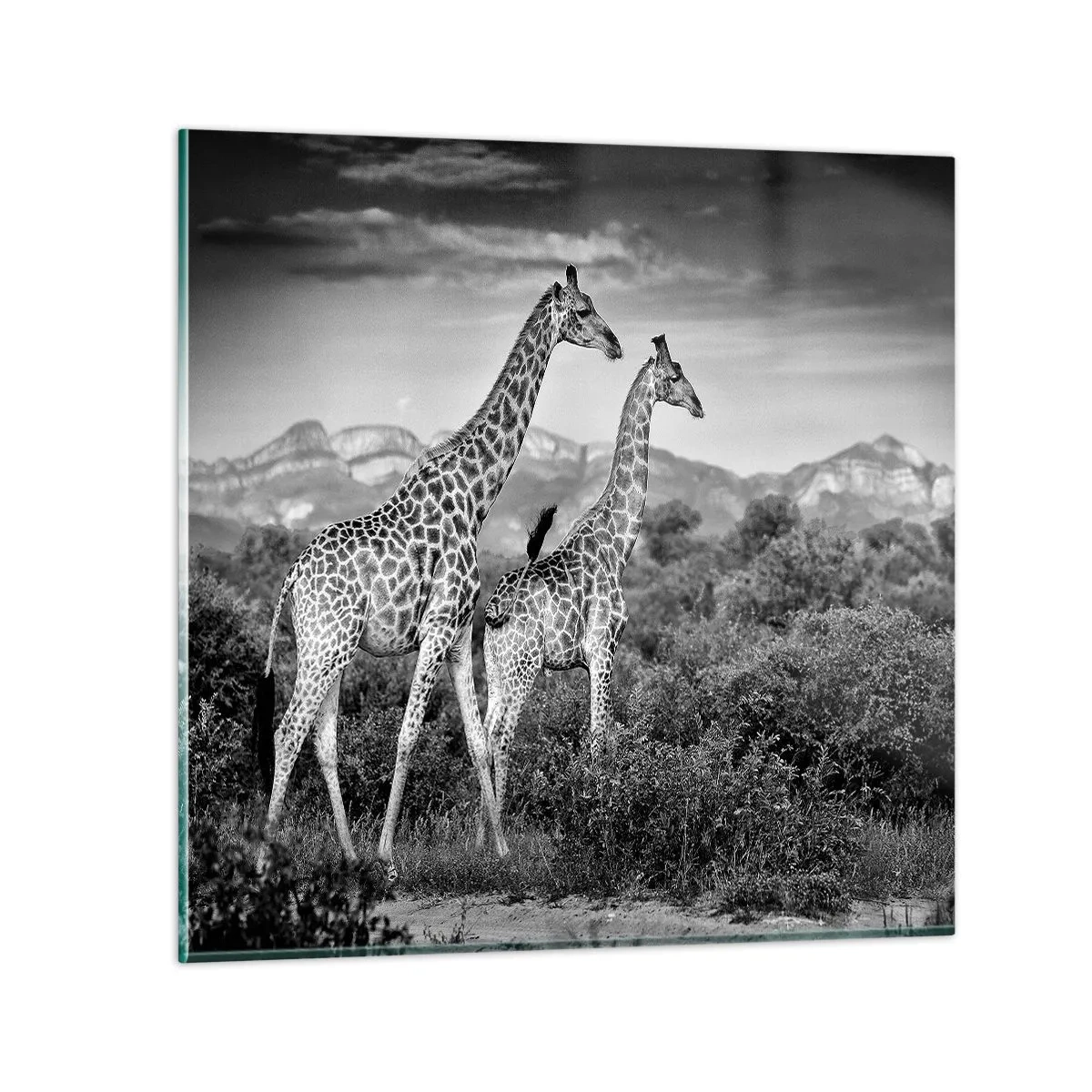 Obraz na skle - Vyšší kruhy v Africe - 70x70 cm