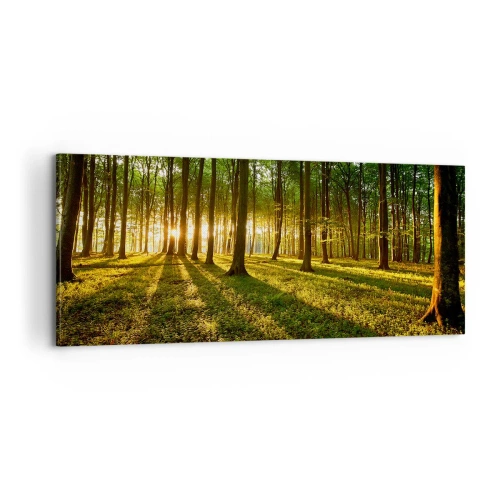 Obraz na plátně - Fotografie všech jar - 100x40 cm