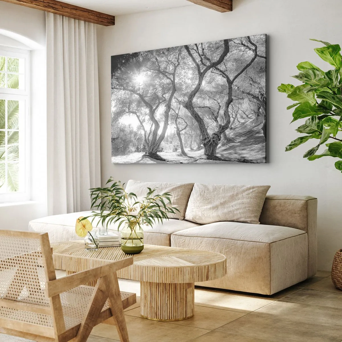 Obraz na plátně - V olivovém háji - 70x50 cm