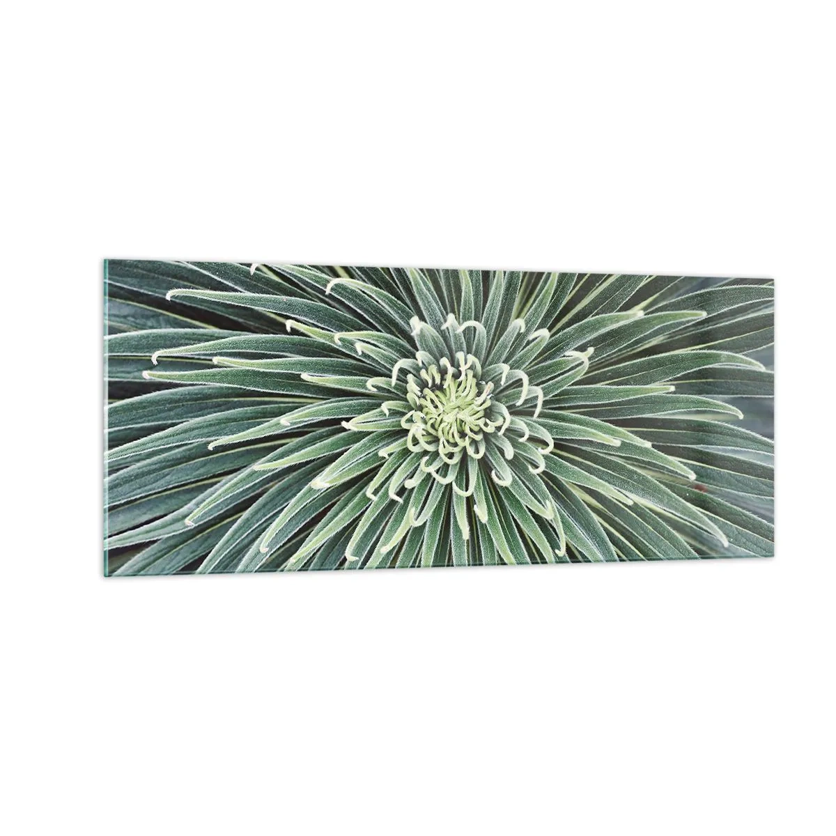 Obraz na skle - Zrození hvězdy - 100x40 cm