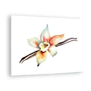 Obraz na skle - Akvarelová ilustrace vanilkového květu na bílém pozadí - 70x50cm - Barvičkou rozlitá sladkost - Moderní nástěnná dekorace do obývacího pokoje a ložnice ARTTOR