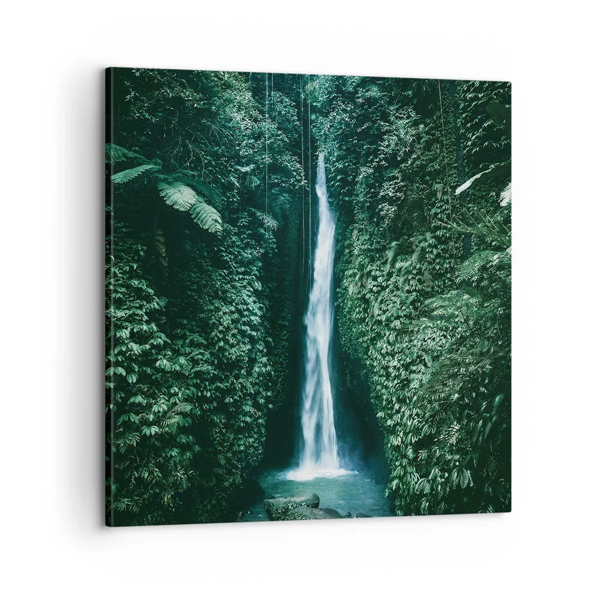 Obraz na plátně - Tropický pramen - 60x60 cm