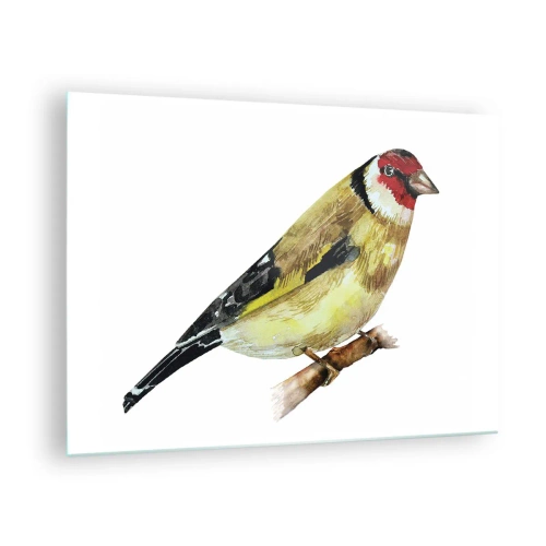 Obraz na skle - Akvarelový pták na větvi v jemných barvách - 70x50cm - Ptáčí portrét - Moderní nástěnná dekorace do obývacího pokoje a ložnice ARTTOR