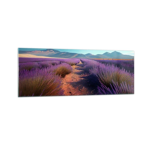 Obraz na skle - Voňavá pole - 140x50 cm