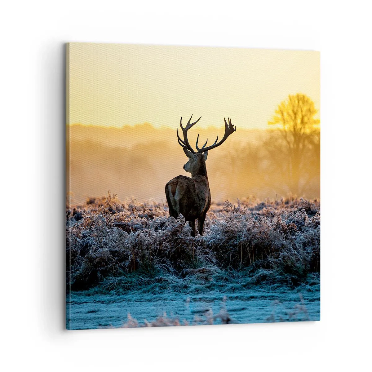 Obraz na plátně - Korunován na svém panství - 60x60 cm