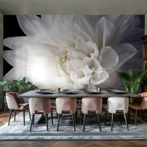 Fototapeta Premium Canvas - Dopoledne s nevěstou - Květ, Jiřina, Příroda - 100x70 cm