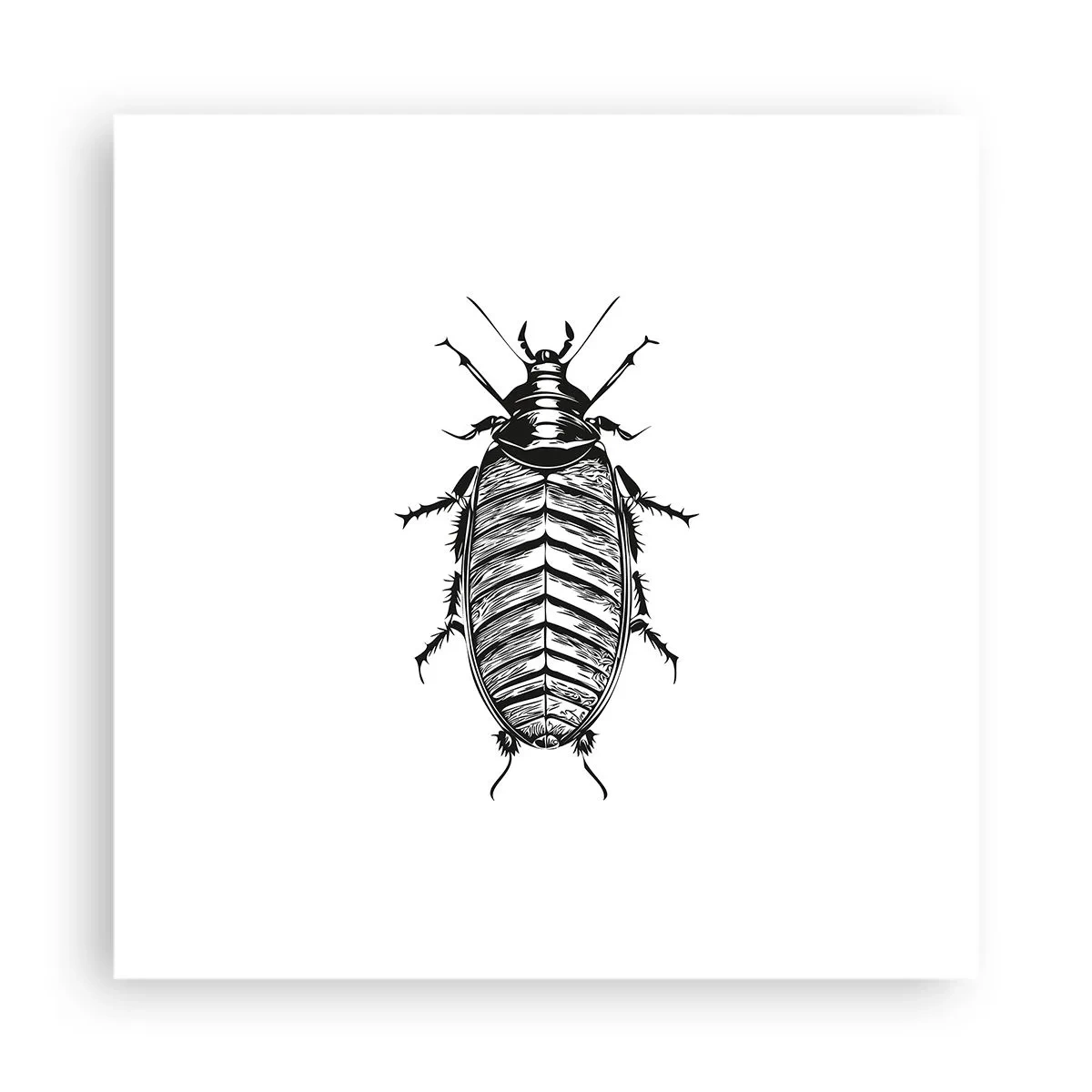 Plakát - Vzorový exemplář! - 40x40 cm